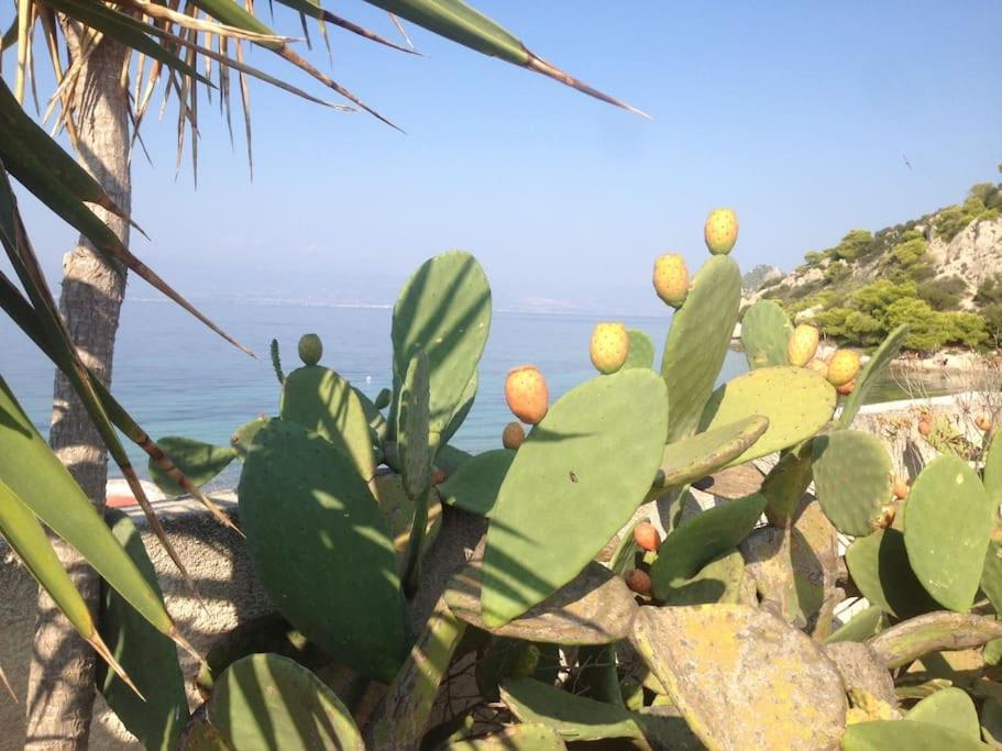ブリアグメニ湖 House By The Sea At Skaloma, Loutrakiヴィラ エクステリア 写真